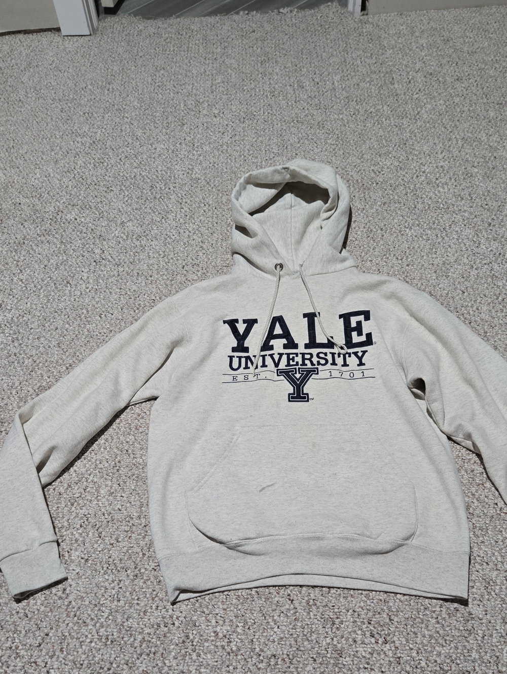 Champion Yale University Hoodie Gray & Blue Small